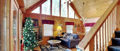 Studio (3 Bedrooms) | Living area | TV, fireplace, video-game console, DVD player