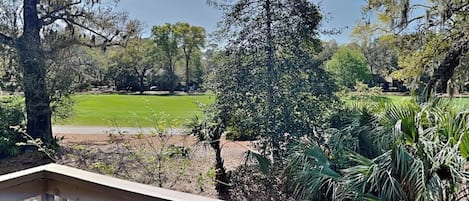 Vista de uma varanda com vista para um parque com gramado, árvores e céu claro.