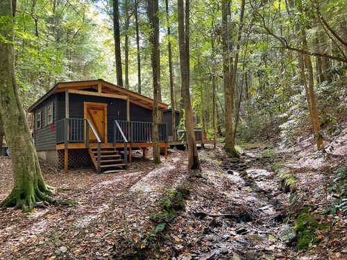 Unplug at HEMLOCK HIDEAWAY: Cozy Cabin in the Cohuttas