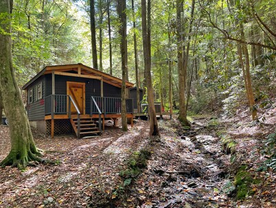 Unplug at HEMLOCK HIDEAWAY: Cozy Cabin in the Cohuttas