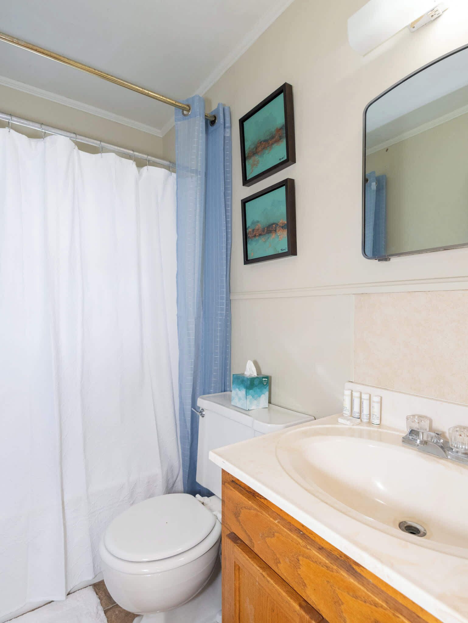 Een badkamer met een toilet, een wastafel, een spiegel en twee ingelijste foto’s aan de muur.