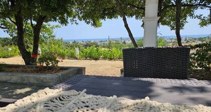 Skyros BnB Calliope in Molos