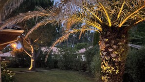 A well-maintained garden with a palm tree and a wooden deck. - Prestigious golf and ocean villa rental (Moliets-et-Maa)