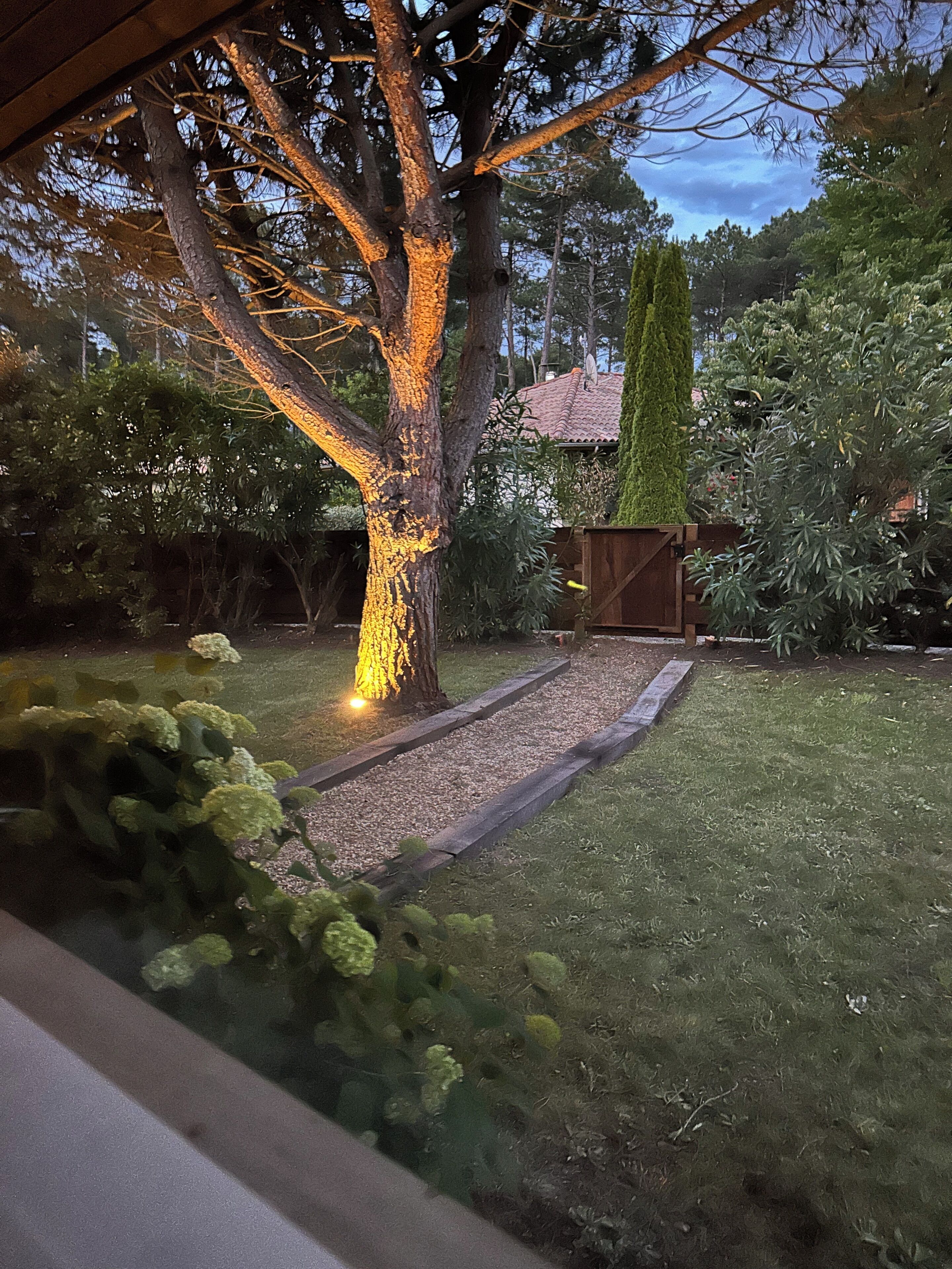 A tree with a light illuminating its trunk, a wooden fence, and a grassy area with a gravel path.