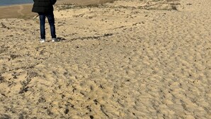 A person standing on a sandy beach facing the ocean. - Prestigious golf and ocean villa rental (Moliets-et-Maa)