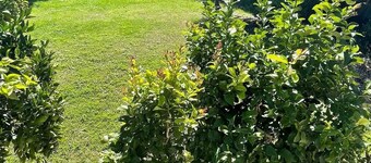 Cottage on The Hill S