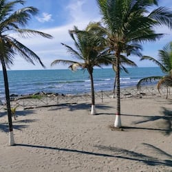 Family Suite, Balcony, Sea View | View from room
