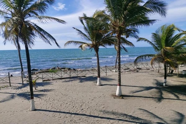 Family Suite, Balcony, Sea View | View from room