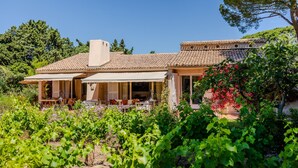 A villa with a covered patio, surrounded by a vineyard.
