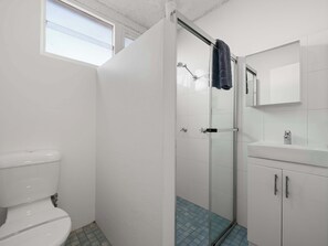 A bathroom with a toilet, a glass shower enclosure, and a sink with a mirror above it.