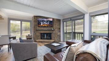 Télévision, cheminée, espaces bureaux