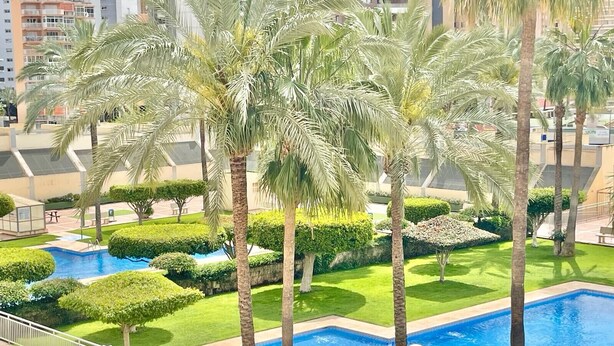 Zona de piscina con palmeras y césped bien cuidado.