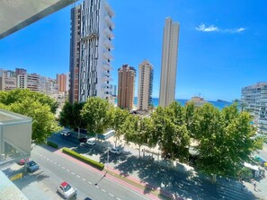 Vista desde la propiedad
