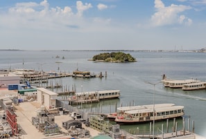 Vista da propriedade