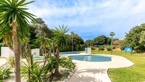 A swimming pool surrounded by tropical plants and a clear sky.