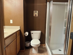 Shower, jetted bath, hair dryer, towels - For EAA 2025 - 4 bdrm, 3.5 bath house 2.5 miles from EAA grounds with AC/Wifi (Oshkosh)
