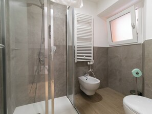 Shower, hair dryer, bidet, towels