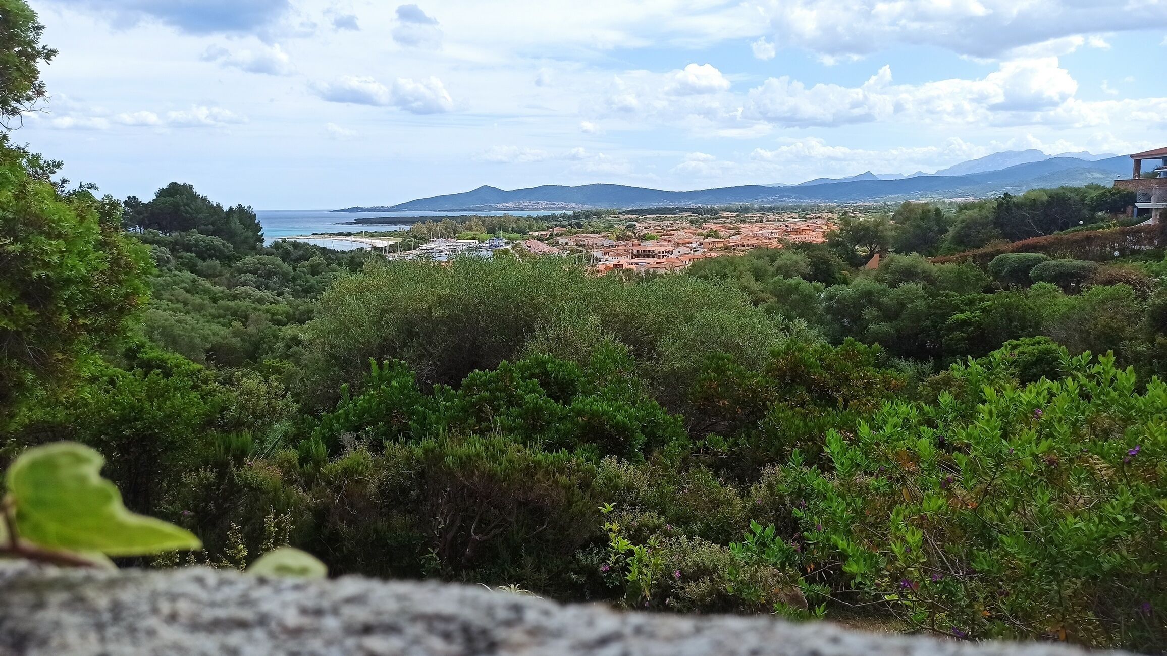 A coastal town with dense greenery in the foreground and a view of the sea and mountains in the background.