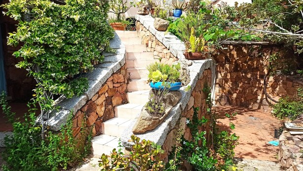 A stone staircase with potted plants and greenery. - Domos De Badas - Trilocale (Porto Ottiolu)