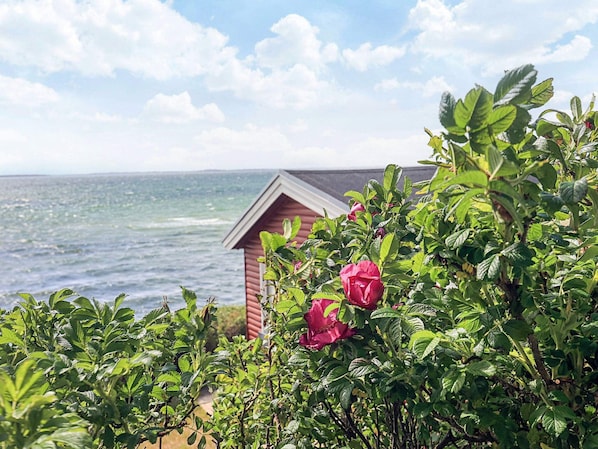 Maison | Vue sur l’eau