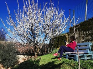 Property grounds - Graziella House - the little house (Portacomaro)