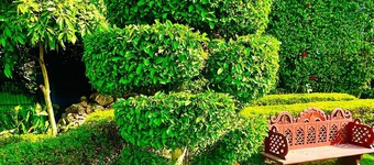 Charming 1-bedroom house in Noida