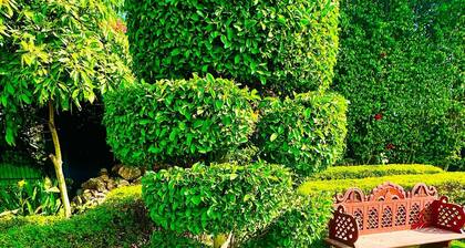 Charming 1-bedroom house in Noida