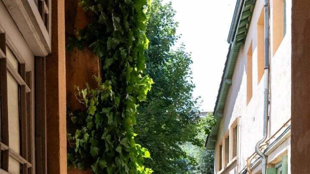 A narrow alleyway with a building on one side and a wall covered in ivy on the other. - Lovely cozy studio - Pentes of Croix Rousse (Lyon)