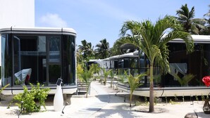A row of modern, white RVs parked on a paved area with palm trees and small plants. - Sunny Pavilion (Thoddoo)
