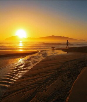A beach scene at sunset with a person and a dog walking along the shore. - Studio Shopping OKA Floripa - SOK108 (Florianopolis)