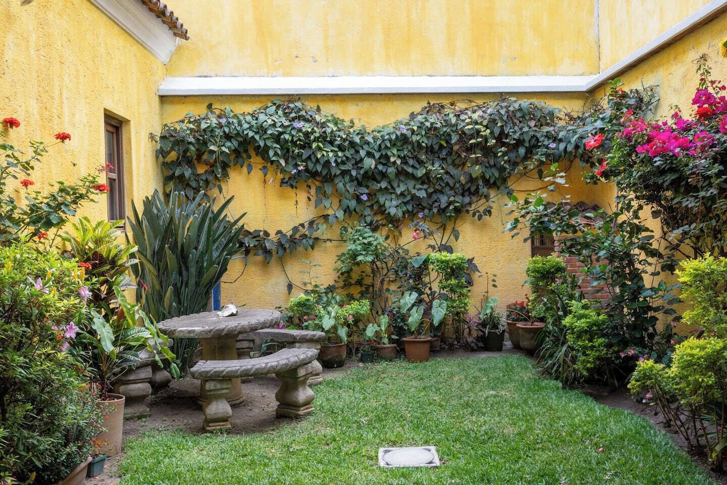 A courtyard with a stone table, potted plants, and a yellow wall.