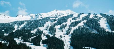 A snow-covered mountain landscape with dense forests and clear skies.