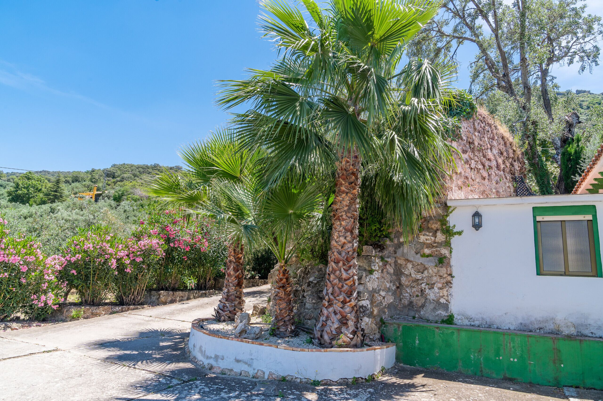 Jardines del alojamiento