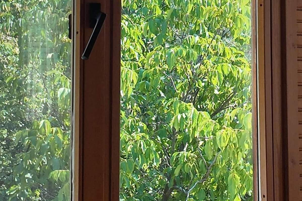 Kolmen hengen classic-huone, näköala laaksoon