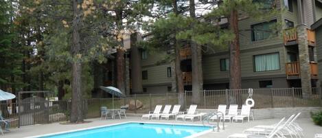 A swimming pool with lounge chairs and a wooden fence.