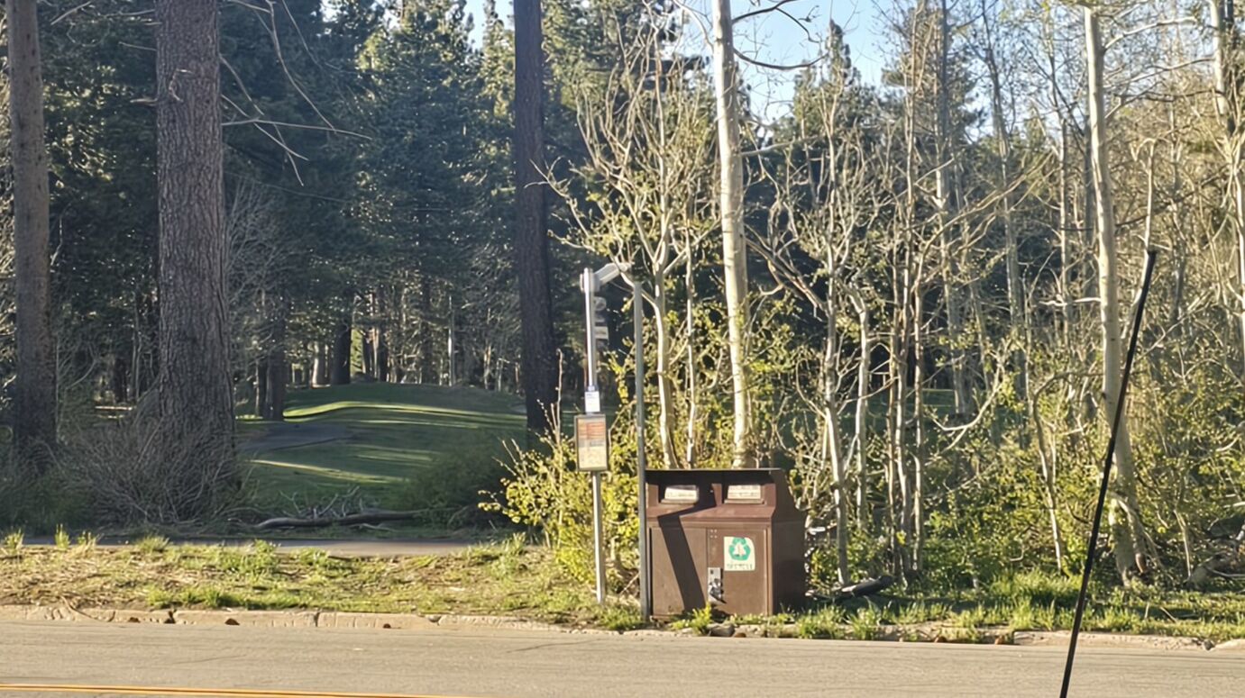 A road with a grassy area and trees in the background.