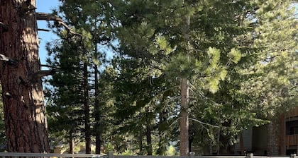 Eagle Summit Collection