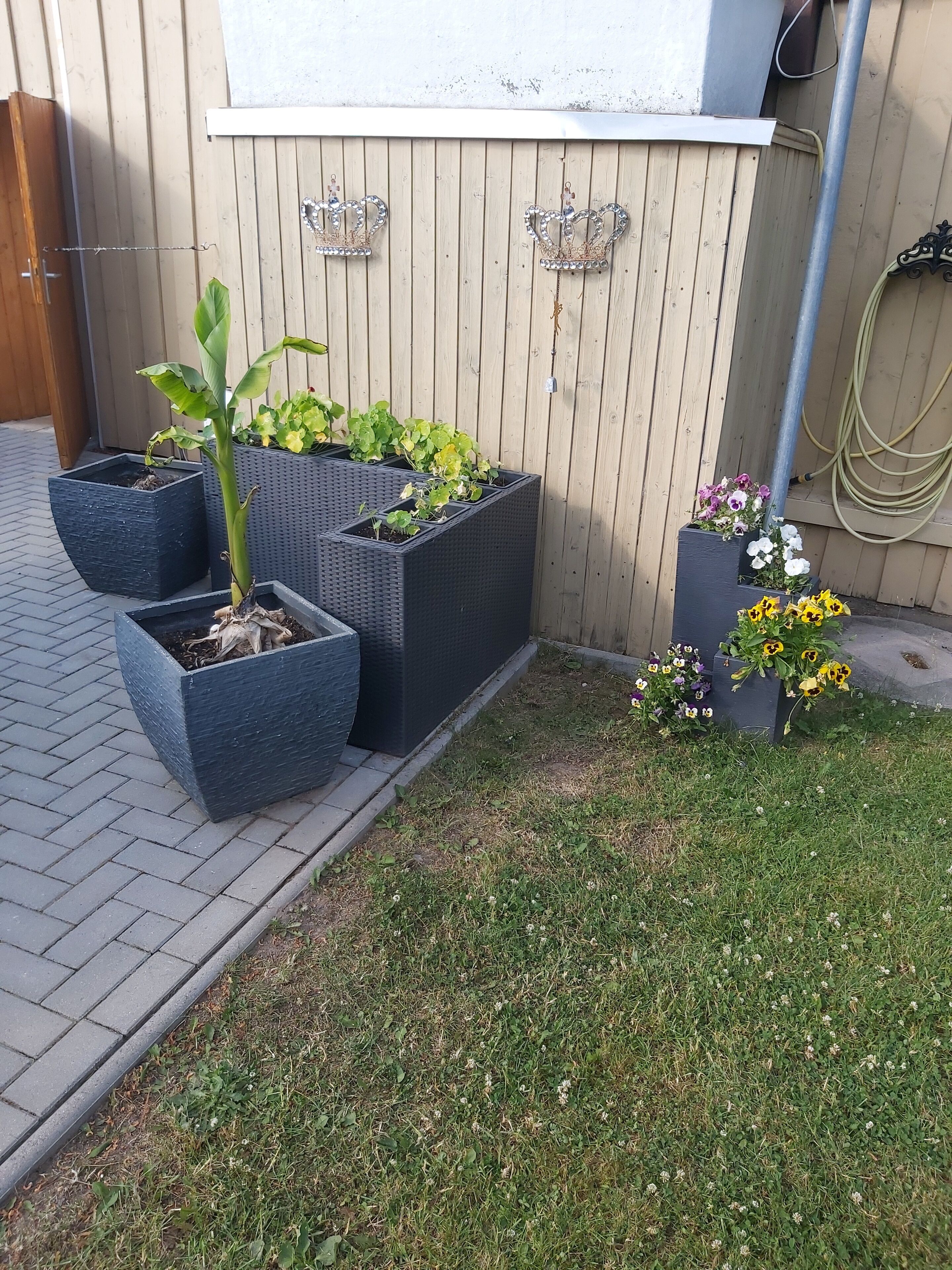 En have med rektangulære plantekasser fyldt med forskellige planter og blomster.