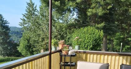 Feel-good oasis for master and dog