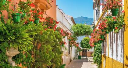 Casa Del Toro Estepona