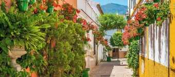 Casa Del Toro Estepona