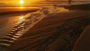 Escena de playa al atardecer con una persona y un perro caminando por la orilla.