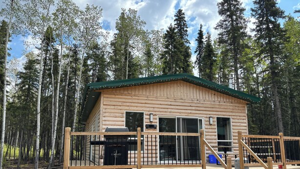 Une cabane en bois dotée d’une terrasse, de grandes fenêtres et d’un toit végétalisé, entourée de grands arbres.