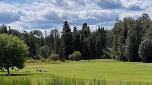 Un paisaje sereno con un estanque, un campo cubierto de hierba y árboles frondosos bajo un cielo nublado.