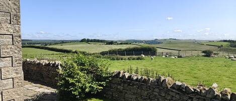 코티지 | 숙박 시설 구내