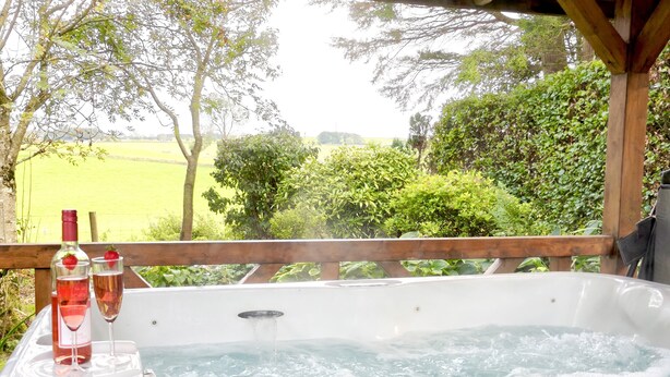 A hot tub with two bottles of wine and a strawberry garnish, surrounded by lush greenery and a view of a green field. - Bush Nook House (Brampton)