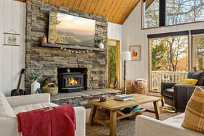 Télévision, cheminée, livres, espaces bureaux