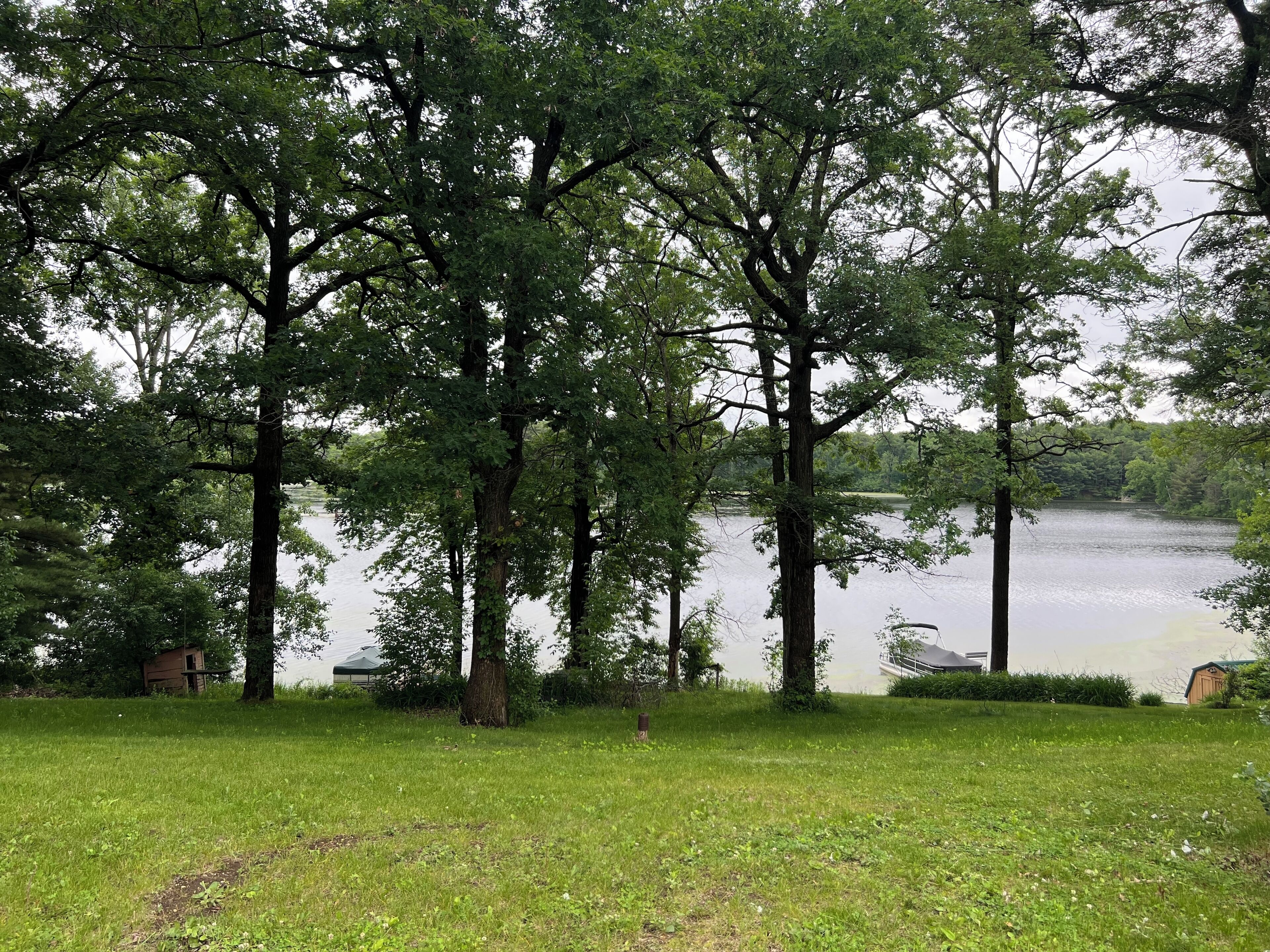 Une zone herbeuse avec des arbres et un lac.