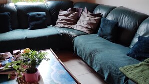 A living room with a dark green leather sofa, a coffee table with a colorful mat, and a potted plant.