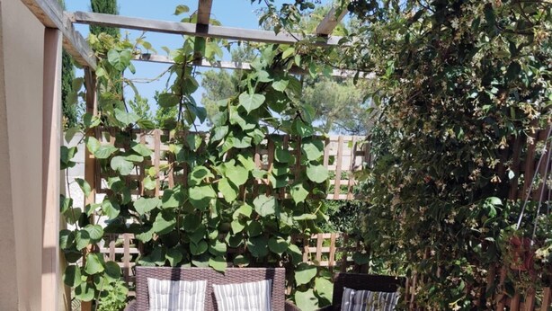 A patio area with wicker furniture, including a sofa and chairs, a glass coffee table, and a wooden trellis with climbing plants.